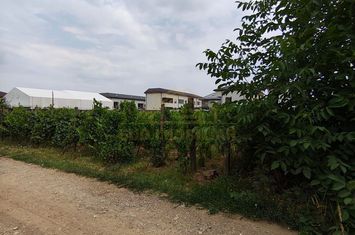 Teren Intravilan 530mp, str SF Agnes, oras Popesti Leordeni, acces Str Scolii anunturi imobiliare Bucuresti