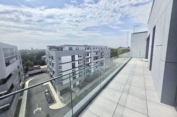 The Ivy | 3 camere | Jandarmeriei | lângă Stejarii si Mall Băneasa anunturi imobiliare Bucuresti
