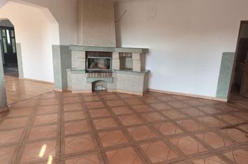 Vilă - 6 camere de vanzare RADAUTI - Suceava anunturi imobiliare Suceava