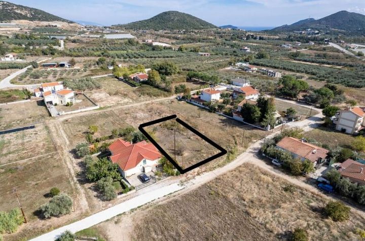 Teren 1.000 mp în Agios Andreas, Kavala anunturi imobiliare Grecia