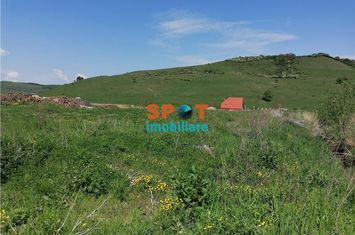 Teren Intravilan de vanzare CHINTENI - Cluj anunturi imobiliare Cluj
