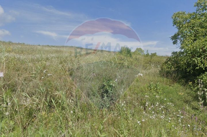 Teren Pădureni (Chinteni), intravilan, parcelabil anunturi imobiliare Cluj