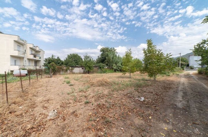 Teren construibil 472 mp în Amigdaleonas, Kavala anunturi imobiliare Grecia