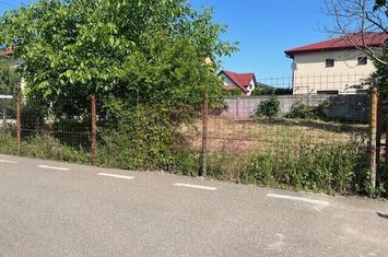 Teren Clinceni- Putul Olteni- Crizantemelor. anunturi imobiliare Bucuresti