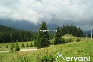 Teren Intravilan de vanzare PREDEAL - Brasov anunturi imobiliare Brasov