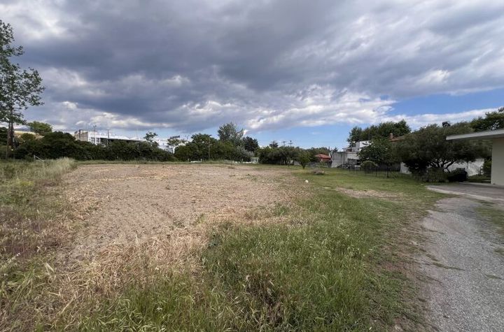 Teren construibil 2373 mp în Lefkonas Serres anunturi imobiliare Grecia