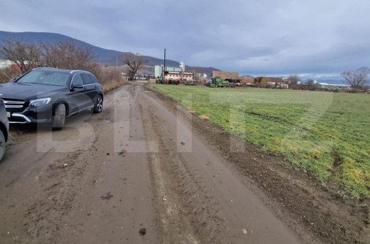 Teren de vanzare CODLEA - Brasov anunturi imobiliare Brasov