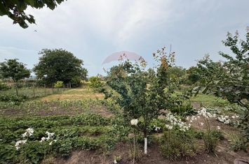 Casă / Vilă cu 6 camere de vânzare anunturi imobiliare Vaslui