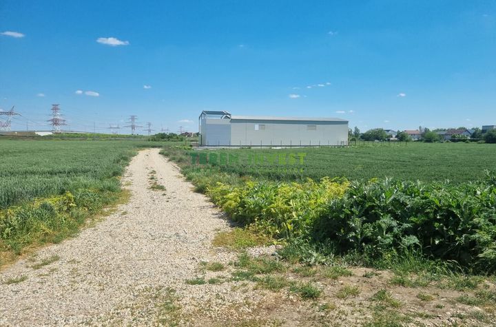 Teren industrial 1.040 mp, Bragadiru - deschidere dublă DN6/A0 anunturi imobiliare Bucuresti