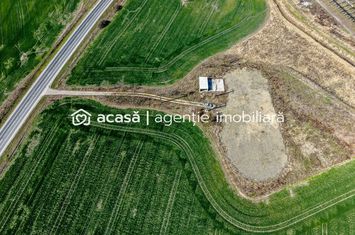 Teren Intravilan de vanzare EXTERIOR VEST - Arad anunturi imobiliare Arad