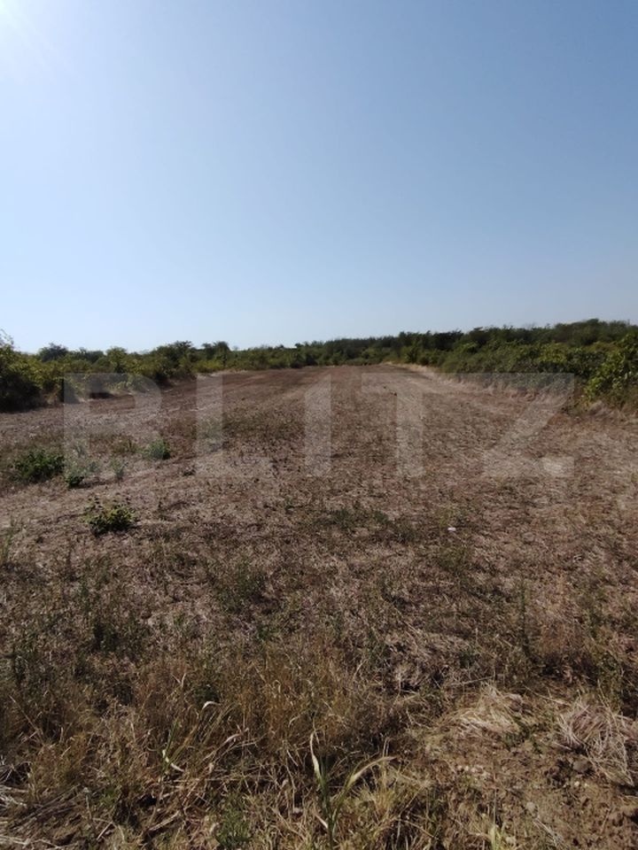 Teren de vanzare CARCEA - Dolj anunturi imobiliare Dolj