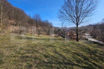 Teren de vanzare ALMASU MARE - Alba anunturi imobiliare Alba
