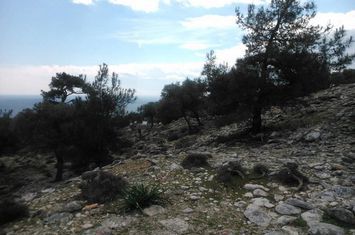 Teren construibil 22.200 mp, Thimonia, Thasos anunturi imobiliare Grecia