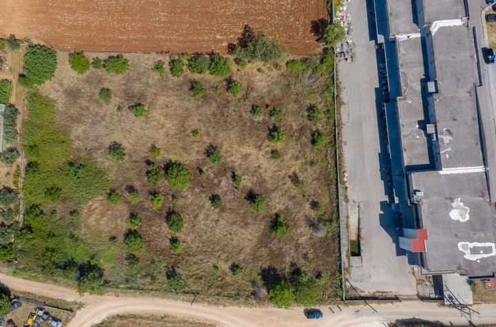 Teren construibil 6.900 mp lângă DN Drama - Kavala anunturi imobiliare Grecia