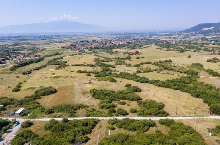 Teren construibil 4.000 mp, Kallifitos, Drama anunturi imobiliare Grecia
