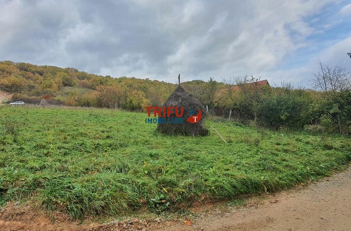 Teren Intravilan de vanzare CENTRAL - Alba anunturi imobiliare Alba