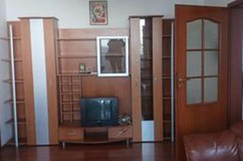 Salajan  - Statuie inchiriere ap. 2 camere anunturi imobiliare Bucuresti