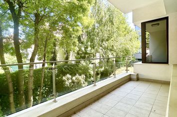 Apartament de 3 camere | complex rezidential | zona Kiseleff anunturi imobiliare Bucuresti
