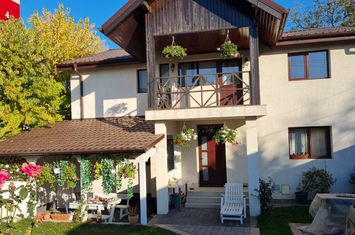 VANZARE VILA 6 CAMERE ZONA PIPERA! anunturi imobiliare Bucuresti
