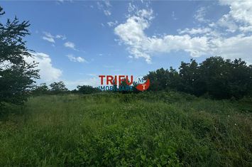 Teren Intravilan de vanzare CETATE - Alba anunturi imobiliare Alba