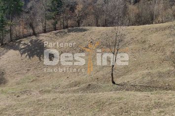 Teren de vanzare RUCAR - Brasov anunturi imobiliare Brasov
