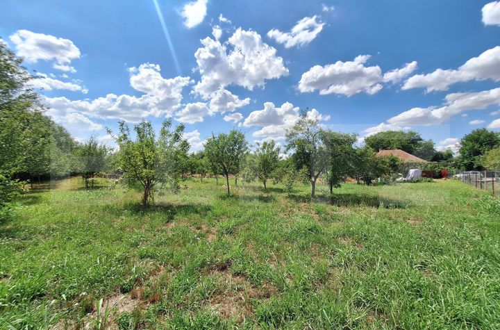 Vilă - 3 camere de vanzare PLOPI - Timis anunturi imobiliare Timis