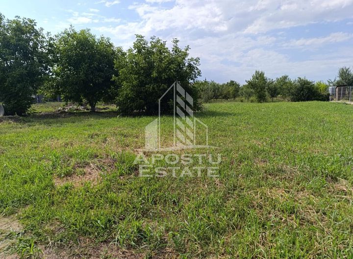 Teren intravilan in vatra satului Giarmata Vii de 683 mp anunturi imobiliare Timis