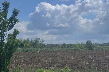 Teren de vanzare RADAUTI - Suceava anunturi imobiliare Suceava