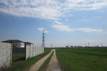 Domnesti-Narciselor anunturi imobiliare Bucuresti