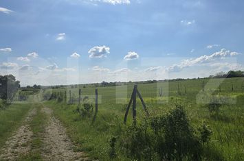 Teren de vanzare LUGOJ - Timis anunturi imobiliare Timis