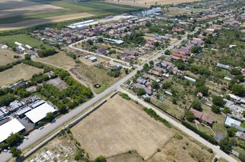 Teren intravilan 6.005 mp in Zădăreni anunturi imobiliare Arad