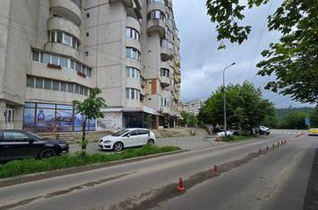 Spațiu comercial de vanzare NICOLINA - Iasi anunturi imobiliare Iasi