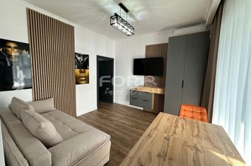 Apartament modern 2 camere de inchiriat in Sanmartin anunturi imobiliare Bihor