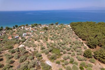 Teren 1028 mp în Skala Kallirachis, Thassos anunturi imobiliare Grecia