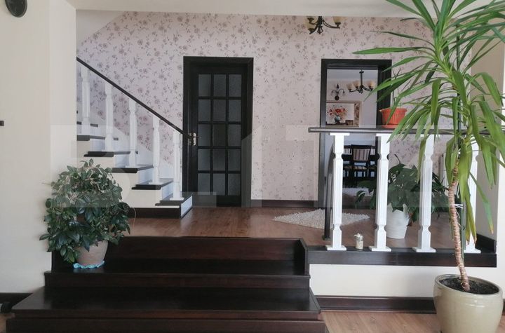 Vilă - 6 camere de vanzare SANANDREI - Timis anunturi imobiliare Timis