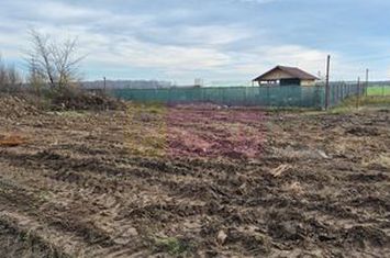 Teren aproape de Bucuresti langa padure între case anunturi imobiliare Bucuresti