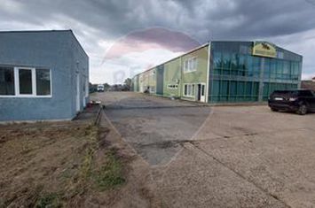 Spațiu industrial de 880mp de vânzare anunturi imobiliare Vaslui
