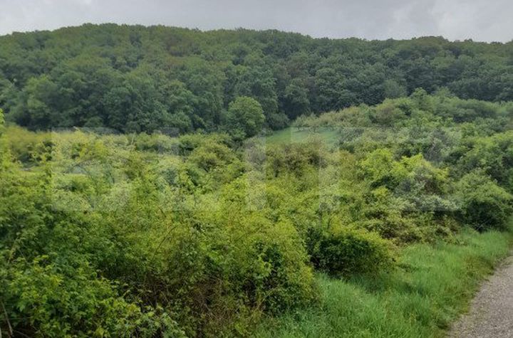 Teren de vanzare BISTRITA - Bistrita-Nasaud anunturi imobiliare Bistrita-Nasaud