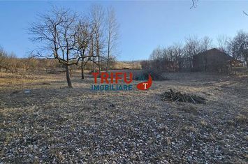 Teren Intravilan de vanzare AMPOITA - Alba anunturi imobiliare Alba