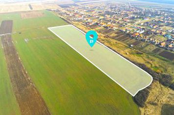 Teren rezidențial în zonă pitorească la Bencecu de Sus! anunturi imobiliare Timis