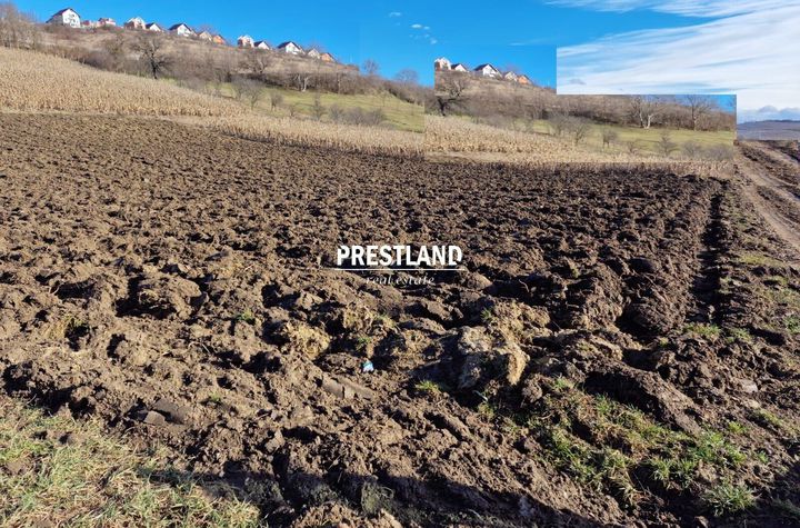 Teren Extravilan de vanzare SURA MARE - Sibiu anunturi imobiliare Sibiu