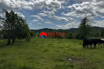 Teren Intravilan de vanzare BREBU - Prahova anunturi imobiliare Prahova