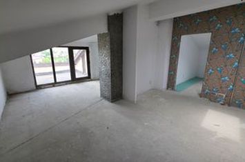 Apartament penthouse 3 camere 178 mp sector 2 Bucuresti anunturi imobiliare Bucuresti