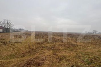Teren de vanzare BISTRITA - Bistrita-Nasaud anunturi imobiliare Bistrita-Nasaud