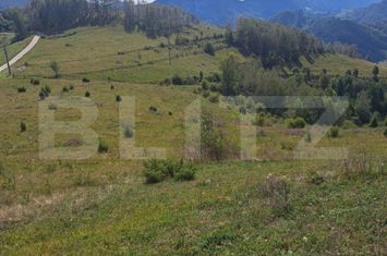 Teren de vanzare ALBA IULIA - Alba anunturi imobiliare Alba