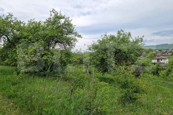 Teren de vanzare GILAU - Cluj anunturi imobiliare Cluj