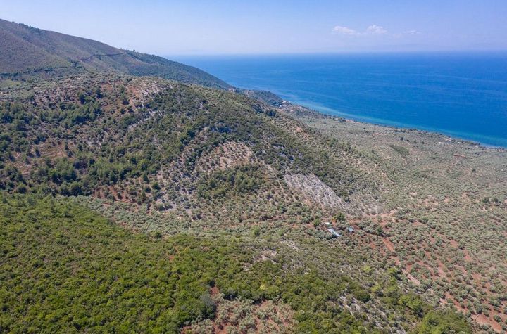Teren construibil 70.000 mp în Kallirachi, Thassos anunturi imobiliare Grecia