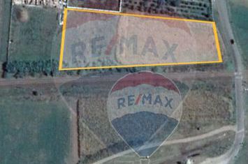 Teren intravilan  in Cordun Roman la OFERTA anunturi imobiliare Neamt