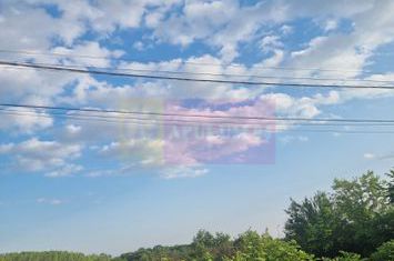 VANZARE TEREN 2150 MP IN SAT TEISORI (GR) anunturi imobiliare Giurgiu