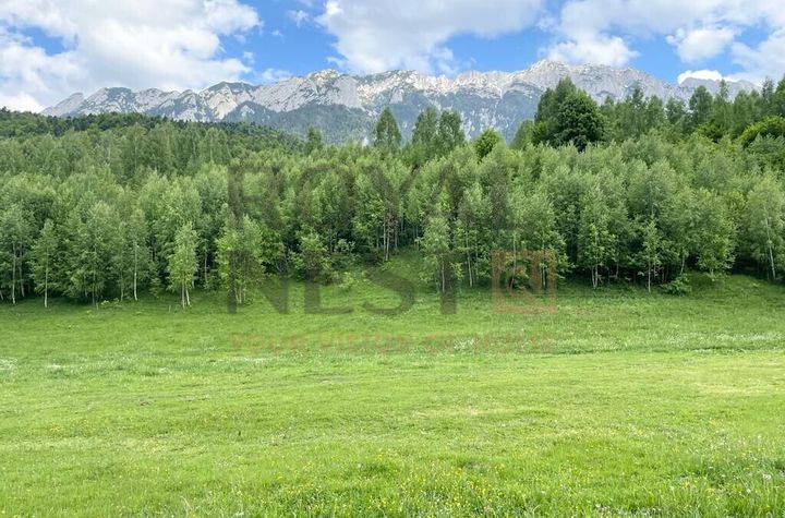 COMISION 0%! Teren superb la Plaiul Foii, pe malul Barsei anunturi imobiliare Brasov